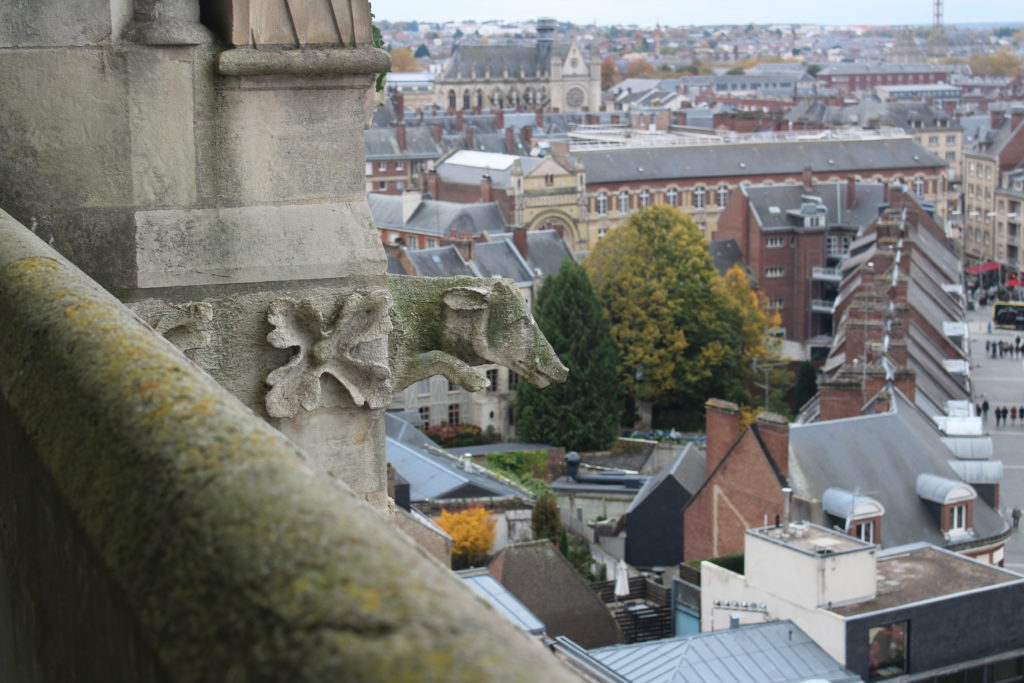 A photo of a gargoyle shaped like a boar's head. The city of Amiens can be seen in the distance.
