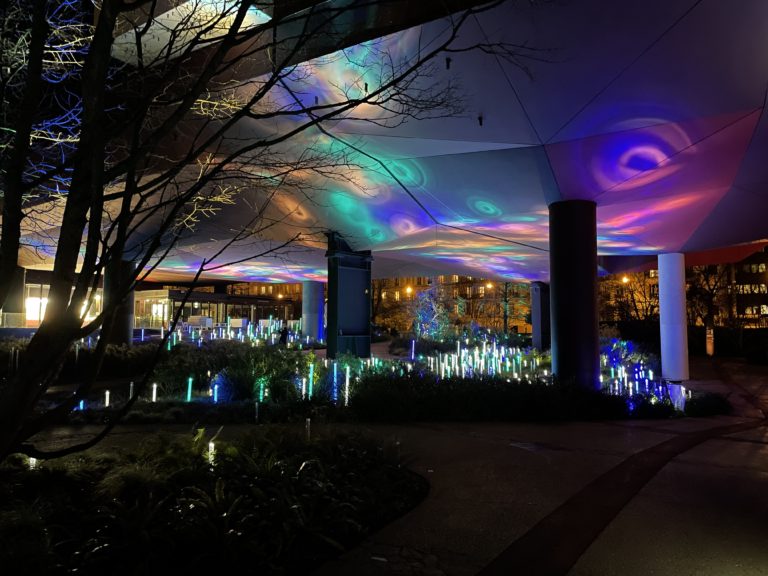 An image of the exterior garden of the Musee du quai Branly. It is at night, and the garden is illuminated by a LED lighting installation of bright colours.