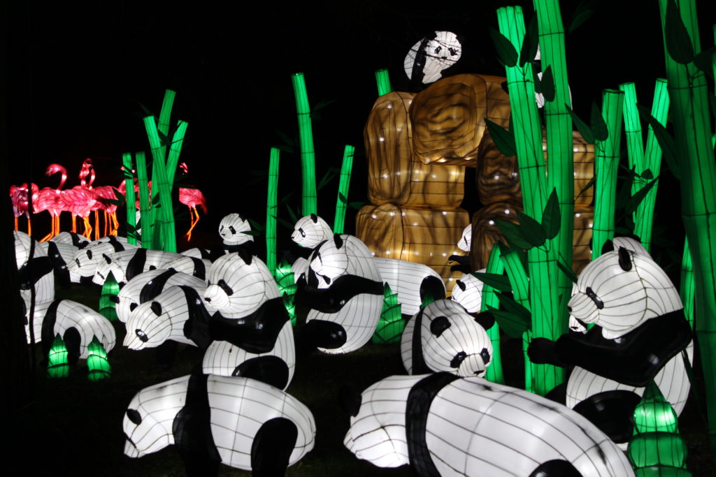 A photo of illuminated pandas in the Jardin des Plantes.