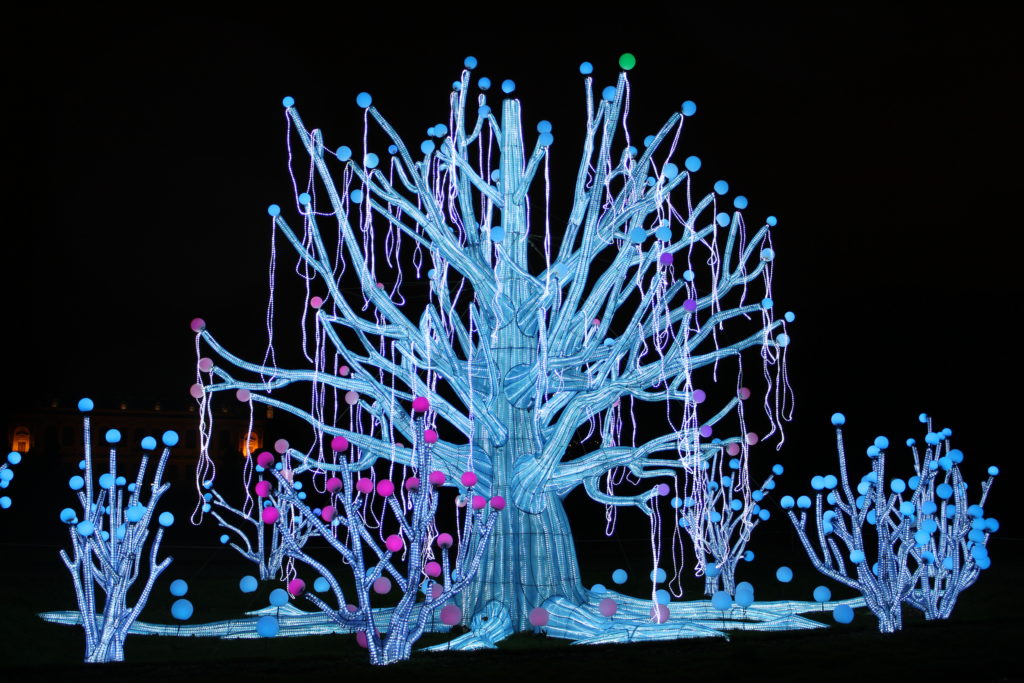A photo of an illuminated tree decorated with strings and bubbles.
