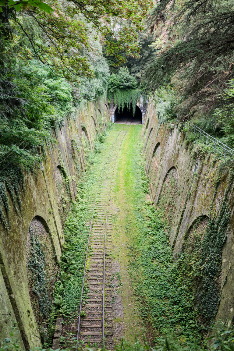 A photo of La Petite Ceinture in Paris.